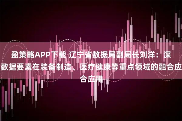 盈策略APP下载 辽宁省数据局副局长刘洋：深化数据要素在装备制造、医疗健康等重点领域的融合应用
