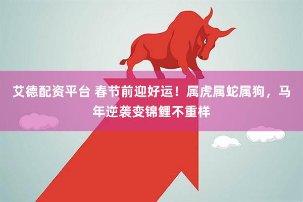 艾德配资平台 春节前迎好运！属虎属蛇属狗，马年逆袭变锦鲤不重样