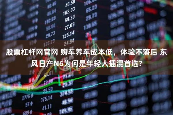 股票杠杆网官网 购车养车成本低，体验不落后 东风日产N6为何是年轻人插混首选?